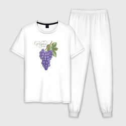Мужская пижама хлопок Гроздь винограда