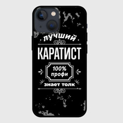 Чехол для iPhone 13 mini Лучший каратист: 100% профи