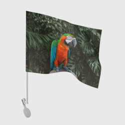 Флаг для автомобиля Попугай Макао