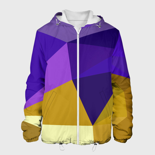 Мужская куртка 3D Фиолетово золотые многоугольники, цвет 3D печать