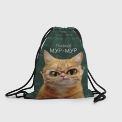 Рюкзак-мешок 3D Рыжий кот в очках