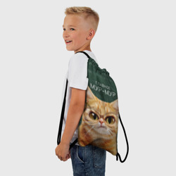 Рюкзак-мешок 3D Рыжий кот в очках - фото 2