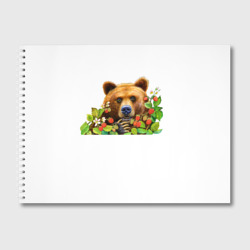 Альбом для рисования Медведь