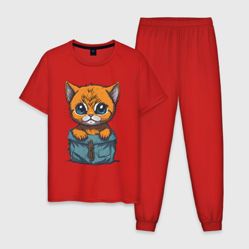 Мужская пижама хлопок с принтом Рыжий котик в сумке, вид спереди #2