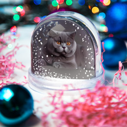 Игрушка Снежный шар Британская кошка порода - фото 2