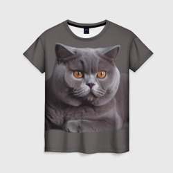 Женская футболка 3D Британская кошка порода