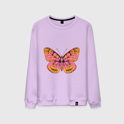 Мужской свитшот хлопок Тропическая бабочка, цвет лаванда