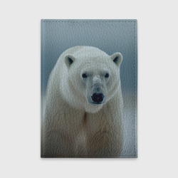 Обложка для автодокументов Белый медведь полярный
