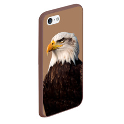 Чехол для iPhone 5/5S матовый Белоголовый орлан птица - фото 2