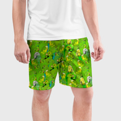 Мужские шорты спортивные Зеленые волнистые попугайчики - фото 2