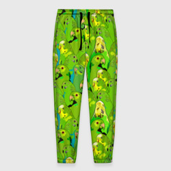 Мужские брюки 3D Зеленые волнистые попугайчики