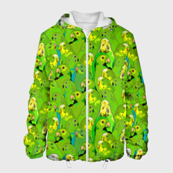 Мужская куртка 3D Зеленые волнистые попугайчики