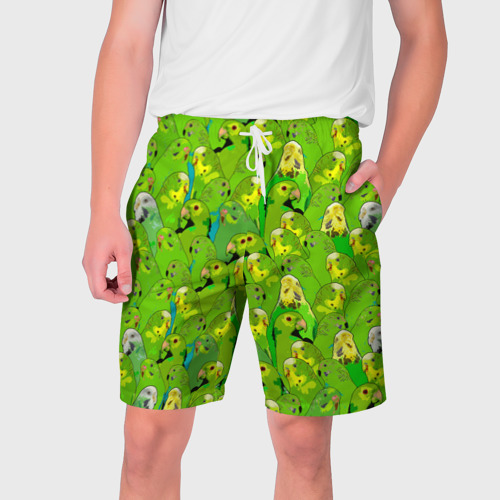 Мужские шорты 3D Зеленые волнистые попугайчики, цвет 3D печать