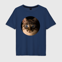 Мужская футболка хлопок Oversize Кошка внимательно смотрит