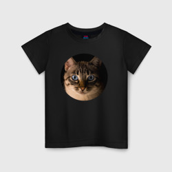 Детская футболка хлопок Кошка внимательно смотрит