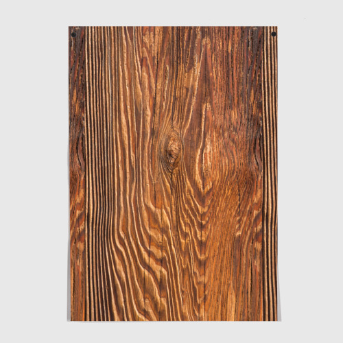 Постер Текстура дерева - купить по цене 310 руб в интернет-магазине  Всемайки, арт 3439237