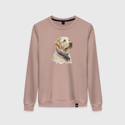 Женский свитшот хлопок Лабрадор палевый, портрет