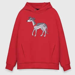 Мужское худи Oversize хлопок Greyhound