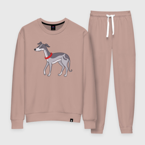 Женский костюм хлопок Greyhound, цвет пыльно-розовый