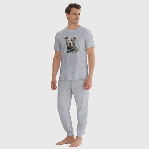 Мужская пижама хлопок с принтом Питбуль, портрет, вид сбоку #3