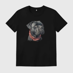 Мужская футболка хлопок Кане-корсо, портрет