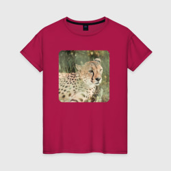 Гепард на чилле – Женская футболка хлопок с принтом купить
