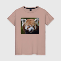 Внимательная красная панда – Женская футболка хлопок с принтом купить со скидкой в -20%
