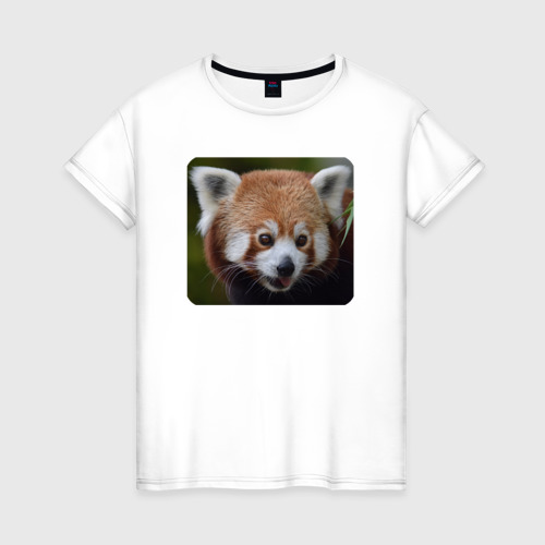 Женская футболка из хлопка с принтом Внимательная красная панда, вид спереди №1
