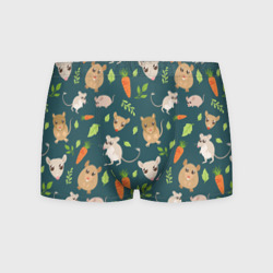 Мужские трусы 3D Милые мышки