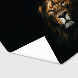 Бумага для упаковки 3D Мудрый лев во тьме - фото 2