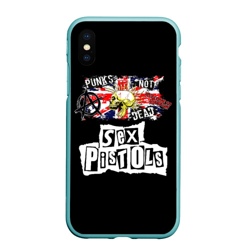 Чехол для iPhone XS Max матовый Sex Pistols - punks not dead, цвет мятный