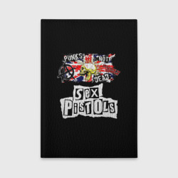 Обложка для автодокументов Sex Pistols - punks not dead