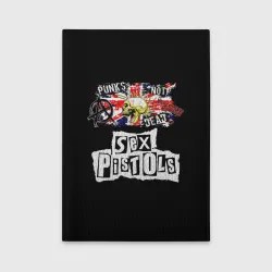 Обложка для автодокументов Sex Pistols - punks not dead