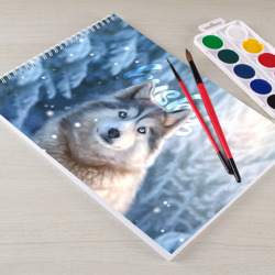 Альбом для рисования Хаски с голубыми глазами в зимнем лесу - фото 2