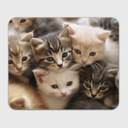 Прямоугольный коврик для мышки Милые пушистые котята