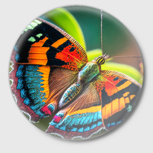 Значок Текстура многоцветной бабочки