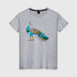 Обыкновенный павлин – Женская футболка хлопок с принтом купить со скидкой в -20%