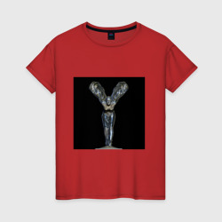 Женская футболка хлопок Дух экстаза