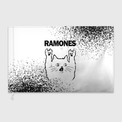 Флаг 3D Ramones рок кот на светлом фоне