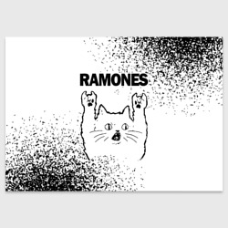 Поздравительная открытка Ramones рок кот на светлом фоне