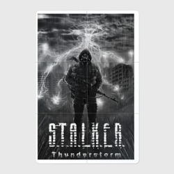 Магнитный плакат 2Х3 Stalker thunderstorm