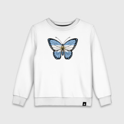 Детский свитшот хлопок Аргентина бабочка