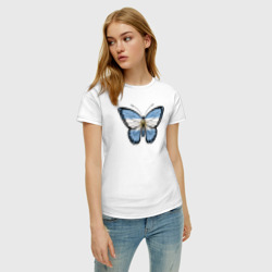 Женская футболка хлопок Аргентина бабочка - фото 2