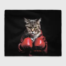 Плед 3D Cat boxing