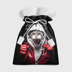 Подарочный 3D мешок Street boxing cat