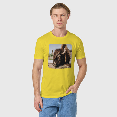 Мужская футболка хлопок Бычок, цвет желтый - фото 3