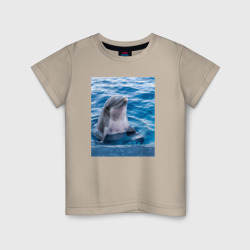 Детская футболка хлопок Дельфин приветливый