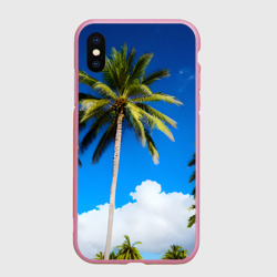 Чехол для iPhone XS Max матовый Пальма на фоне неба