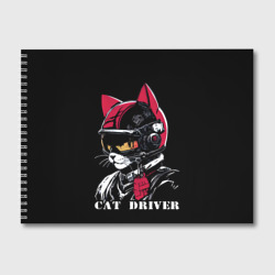 Альбом для рисования Cat driver