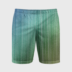 Мужские шорты спортивные Градиент полосы зеленый